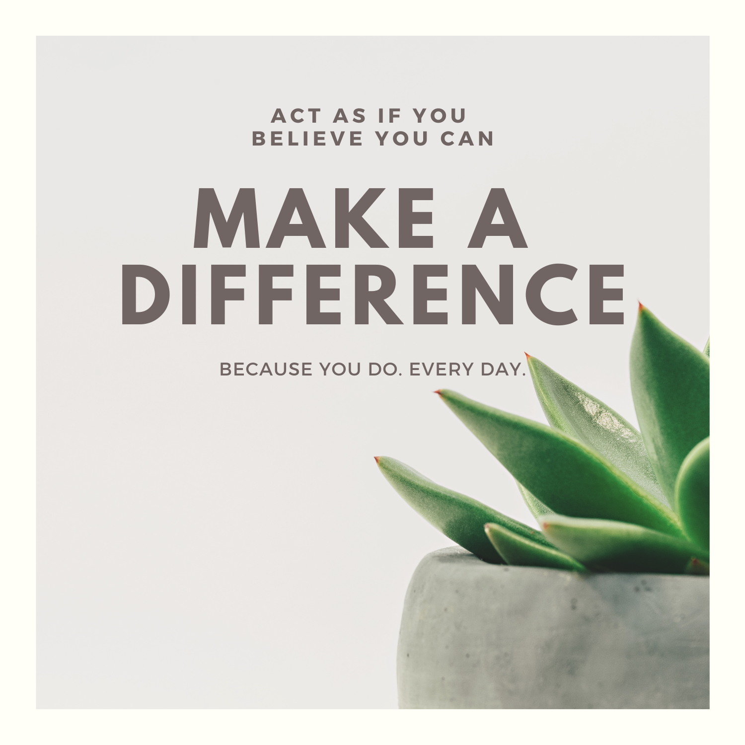 Motivational quote with a succulent plant on a light gray background