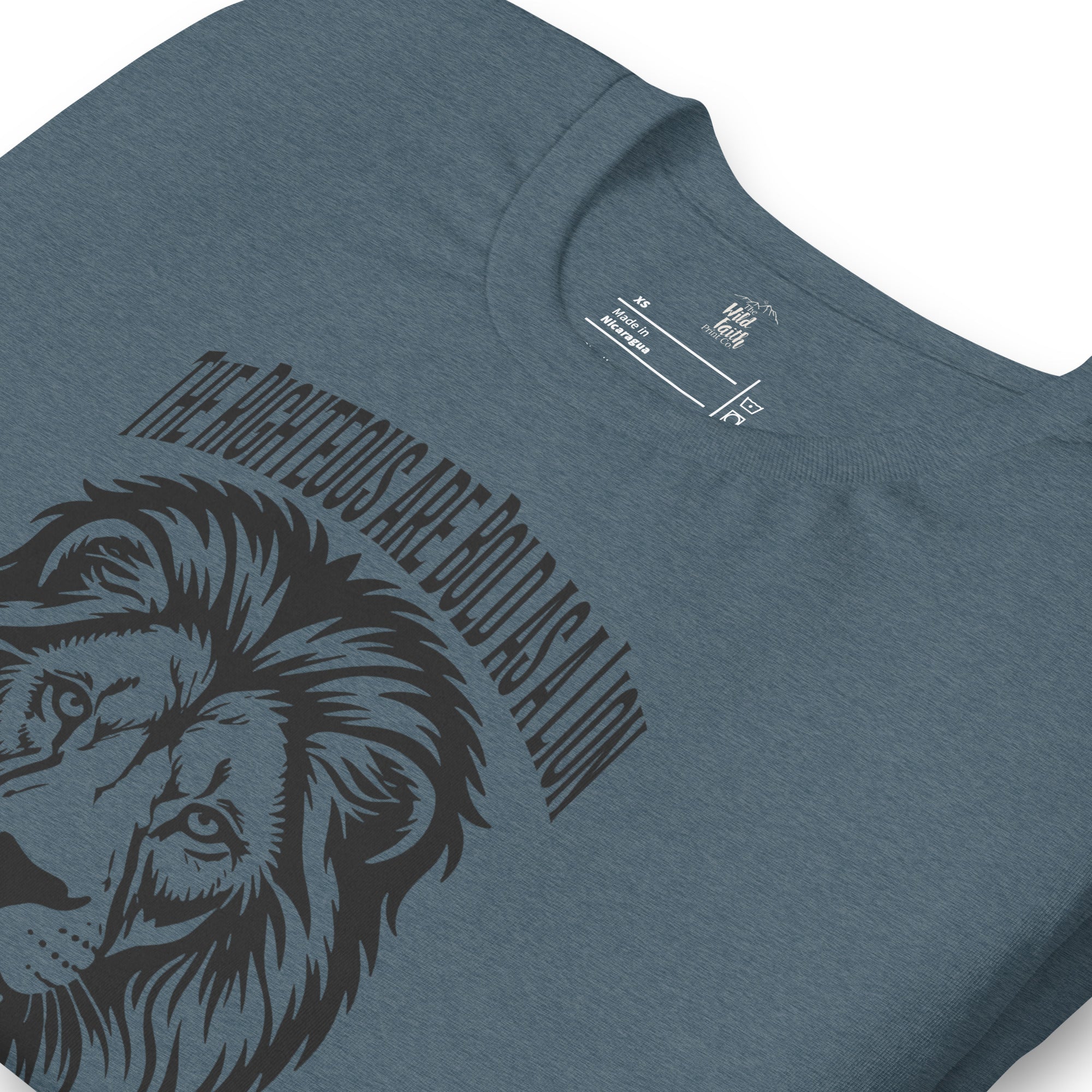 Bold As A Lion | Proverbs 28:1 Faith T-Shirt