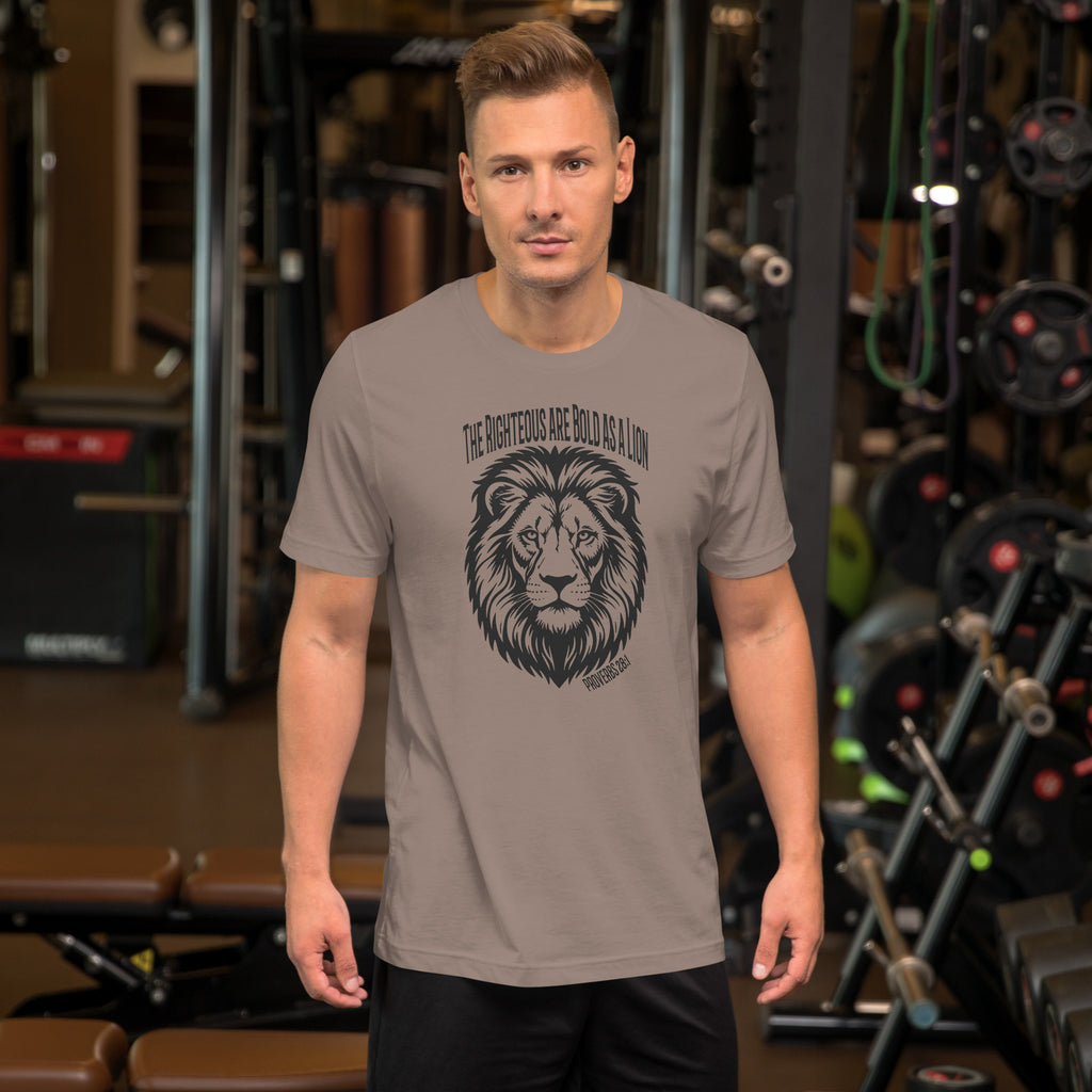 Bold As A Lion | Proverbs 28:1 Faith T-Shirt